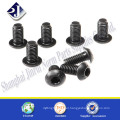 China Supplier Widely Used In The World Black Button Head Screws